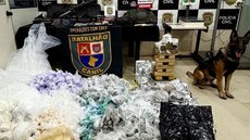 Cão Ice, da Polícia Militar, foi fundamental para localizar um depósito clandestino de armas e drogas em uma casa desocupada - Foto: Divulgação/ Secretaria de Segurança Pública