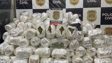 A carga de skunk, uma variante concentrada da maconha, foi encontrada em 240 pacotes dentro do caminhão - Imagem: Divulgação / SSP-SP