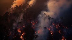Duas pessoas morrem durante incêndios florestais na Grécia - Imagem: Reprodução / Freepik