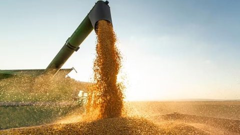 O aumento das importações de soja brasileira pela China reflete uma mudança nas dinâmicas comerciais globais e geopolíticas - Imagem: Divulgação