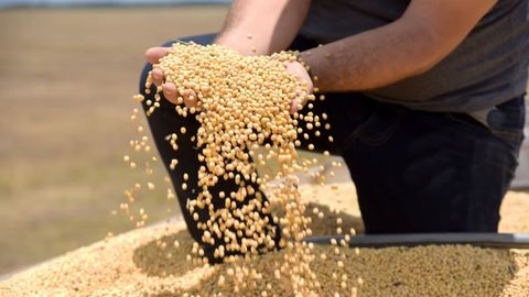 A CNA promete continuar acompanhando a situação e trabalhando para reduzir os impactos da tarifa sobre o setor agropecuário brasileiro - Imagem: Reprodução/SECOM RR
