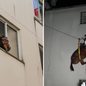 Égua teve que ser içada pela janela - Imagem: Reprodução / Pietro Oliveira / RBS TV / G1