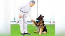 Empresário indiano morre e deixa herança de R$ 673,5 milhões para cão - Imagem: Reprodução / Instagram / @ratantata