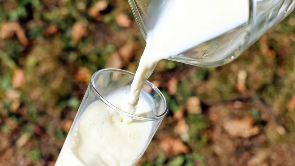 Relatório aponta redução na oferta e prejuízos estruturais que afetam produção e transporte do setor lácteo - Imagem: reprodução Pixabay