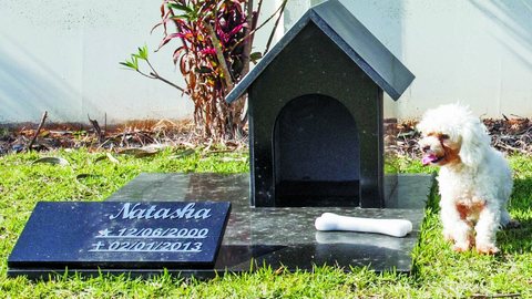 A proposta, que agora segue para o governador, visa oferecer uma alternativa acessível e regulamentada para a despedida de animais de estimação - Imagem: Reprodução/Redes Sociais
