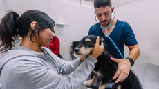 Atendimento gratuito beneficia animais e tutores da rede pública na cidade de São Paulo - Imagem: Leon Rodrigues/PrefSP