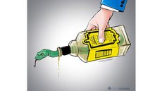 Do álcool falsificado às fronteiras esquecidas em um Brasil de contrastes - Imagem: Divulgação/Coluna Esplanada