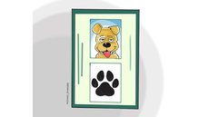 Cadastro nacional de pets pode abrir caminho para a criação da PetBras - Imagem: Divulgação/Coluna Esplanada