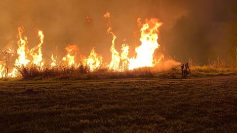 Estado de SP registra 16 focos ativos de incêndio neste sábado (14) - Imagem: Divulgação / INPE