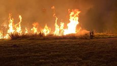 Estado de SP registra 16 focos ativos de incêndio neste sábado (14) - Imagem: Divulgação / INPE