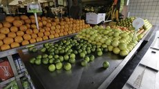 Entre janeiro e outubro de 2025, exportações de frutas somaram US$1 bilhão - Imagem: Reprodução / Fabio Rodrigues- Pozzebom / Agência Brasil