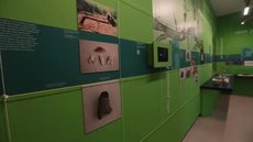 A exposição apresenta objetos de até 4 mil anos, incluindo ferramentas e urnas funerárias - Imagem: Reprodução / Paulo Pinto / Agência Brasil