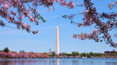 Monumento de Washington - Reprodução: Freepik