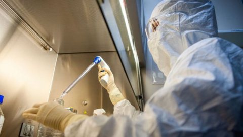 Com o aumento de casos no Brasil, nova terapia MBL-YFV-01 pode ser crucial para salvar vidas e reduzir a mortalidade pela febre amarela - Imagem: Reprodução/Agência SP