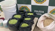 Criminoso tingia feijão de verde para enganar consumidores - Imagem: divulgação/Polícia Civil do Rio de Janeiro