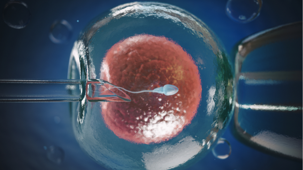 Fertilização in vitro, técnica de reprodução assistida - Imagem: Reprodução / Mater Prime