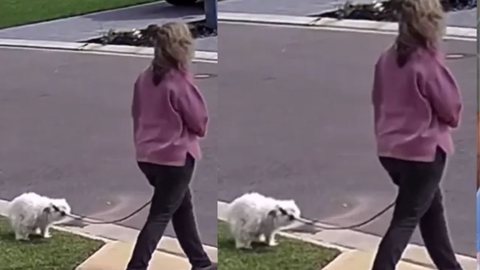 Homem se vinga da melhor forma de vizinha que deixa fezes de cachorro no quintal - Imagem: reprodução