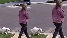 Homem se vinga da melhor forma de vizinha que deixa fezes de cachorro no quintal - Imagem: reprodução