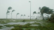 Até o momento 51 dos 67 condados do estado estão em alerta - Imagem: Reprodução / Pixabay