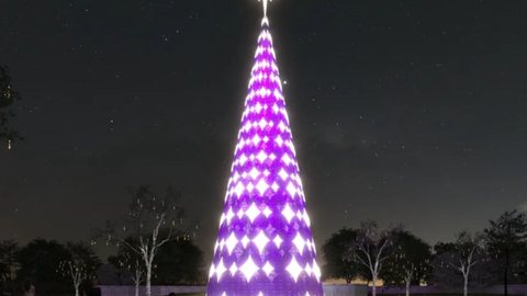 Foi inaugurada a árvore de natal do Ibirapuera - Imagem: Divulgação/ Urbia Parques