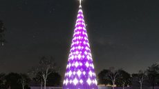 Foi inaugurada a árvore de natal do Ibirapuera - Imagem: Divulgação/ Urbia Parques