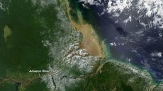 A perfuração no bloco FZA-M-059 usará a sonda NS-42, com capacidade para atingir 12,1 mil metros de profundidade - Imagem: Reprodução / Google Earth