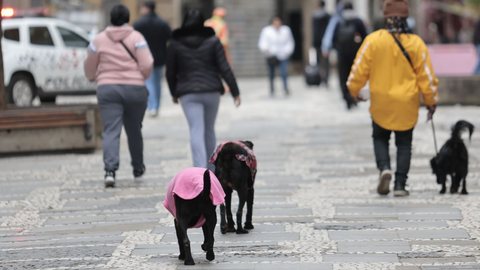 Pessoas caminham durante frio e baixa temperatura na capital paulista - Imagem: Reprodução / Agência Brasil / Paulo Pinto