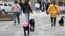 Pessoas caminham durante frio e baixa temperatura na capital paulista - Imagem: Reprodução / Agência Brasil / Paulo Pinto