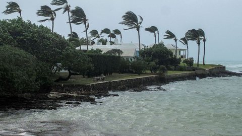 Flórida se prepara para chegada do furacão Ian - Imagem: reprodução grupo bom dia