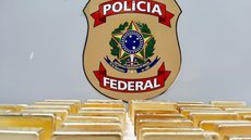 Polícia apreende 47 kg de ouro em Manaus e PF avalia ocorrência como a maior do Amazonas - Imagem: Reprodução/G1/PF-AM