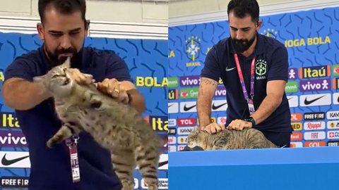 Vinicius Rodrigues, assessor da CBF, é quem aparece no vídeo retirando o gato da bancada durante entrevista de Vinicius Jr. no Catar - Imagem: reprodução YouTube