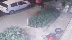 Vítima foi atingida a poucos metros de casa enquanto caminhava pela via - Imagem: Reprodução