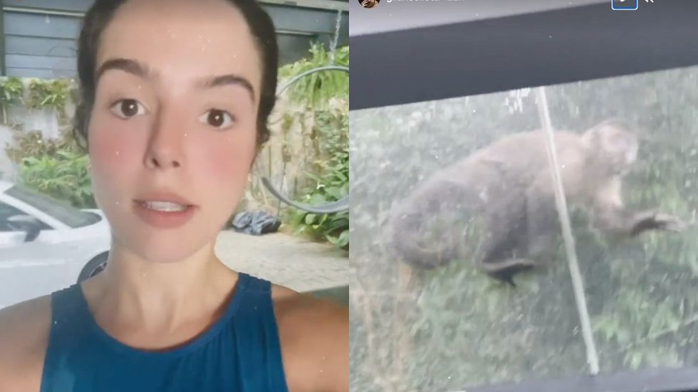 Giovanna Lancellotti tem casa invadida por macacos e grava tudo no Instagram; veja vídeo abaixo - Imagem: reprodução Instagram @gilancellotti