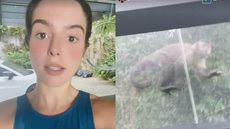 Giovanna Lancellotti tem casa invadida por macacos e grava tudo no Instagram; veja vídeo abaixo - Imagem: reprodução Instagram @gilancellotti