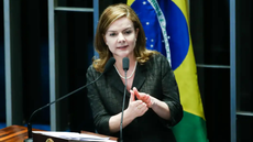 Tribunal de Justiça do Distrito Federal anulou condenação que obrigava o deputado Ricardo Arruda a indenizar Gleisi Hoffmann por declarações feitas em discurso parlamentar - Imagem: Reprodução