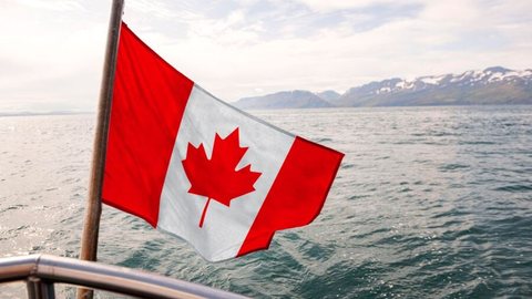Governo canadense planeja doar armamento para a Ucrânia - Imagem: Reprodução / Freepik