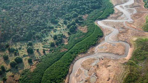 Governo destina R$ 938 milhões para combate à seca e incêndios - Imagem: Reprodução / PR / Ricardo Stuckert