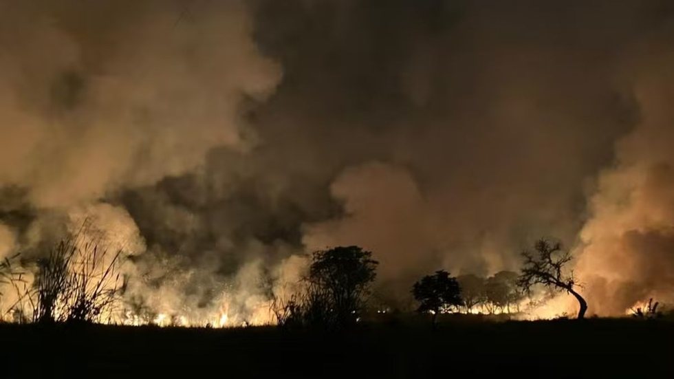 Governo federal propõe penas mais duras para crimes ambientais - Imagem: Reprodução / G1 / Lucas Tavares