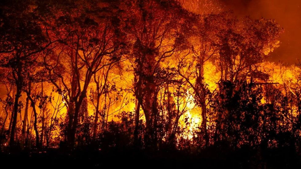 Governo irá enviar R$ 514 milhões para combater incêndios e seca na Amazônia - Imagem: Reprodução / Agência Brasil / Joédson Alves