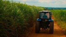Governo paulista dá segurança jurídica no campo regularizando 5 propriedades por dia - Imagem: Reprodução / Freepik