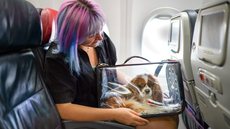 Medida nacional foi anunciada para garantir o cuidado e segurança de animais - Imagem: Reprodução / Petlove