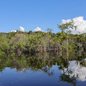 AGU e ICMBio exigem reparação por danos ambientais na Floresta Nacional do Jamanxim - Imagem: Reprodução / Fabio Rodrigues-Pozzebom / Agência Brasil