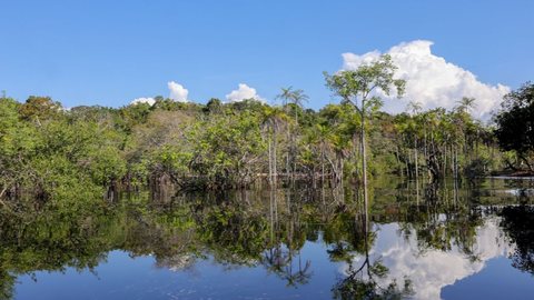 AGU e ICMBio exigem reparação por danos ambientais na Floresta Nacional do Jamanxim - Imagem: Reprodução / Fabio Rodrigues-Pozzebom / Agência Brasil