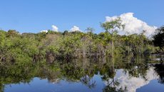 AGU e ICMBio exigem reparação por danos ambientais na Floresta Nacional do Jamanxim - Imagem: Reprodução / Fabio Rodrigues-Pozzebom / Agência Brasil