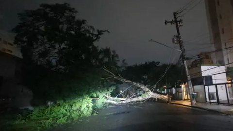 Árvore caiu na Rua Dom Armando Lombardi, na região da Capela do Socorro, Zona Sul da capital - Imagem: reprodução Defesa Civil estadual via g1