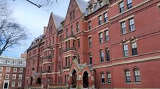 A administração da universidade critica ações do governo Trump que interferem na operação acadêmica - Imagem: Divulgação / Harvard