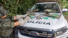 Homem é multado por manter aves e jiboia em cativeiro no interior de SP - Imagem: Divulgação / Polícia Militar Ambiental