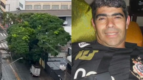 Morador de Santo André morre após árvore cair em cima da casa no ABC Paulista - Imagem: reprodução TV Globo