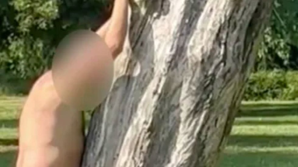 VÍDEO - homem é flagrado fazendo 'sexo' com árvore no meio de parque - Imagem: reprodução redes sociais