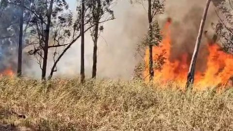 Incêndio em Horto Florestal de Limeira mobiliza Defesa Civil - Imagem: Divulgação/ Defesa Civil